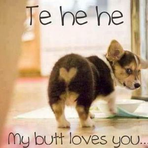 Meet your Posher, Candice